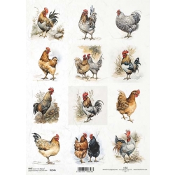 Papier ryżowy A4 R2346  kury
